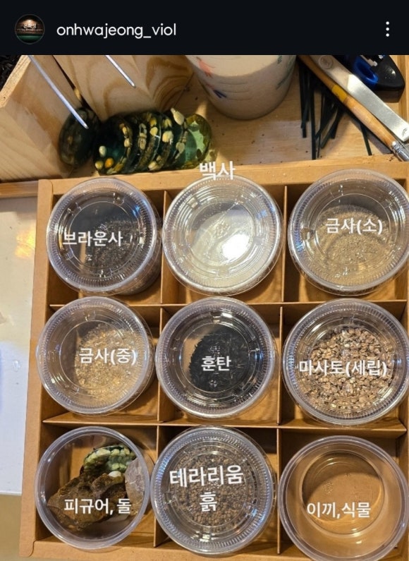 온화정 이미지