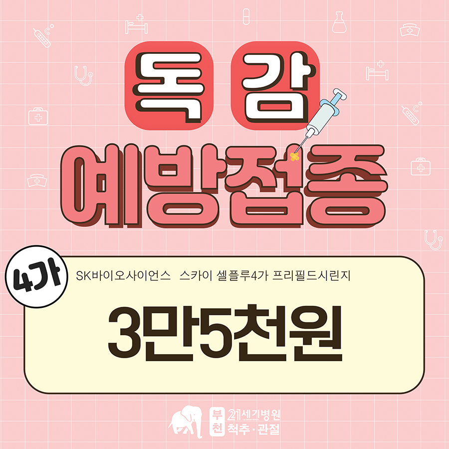 21세기스카이 이미지
