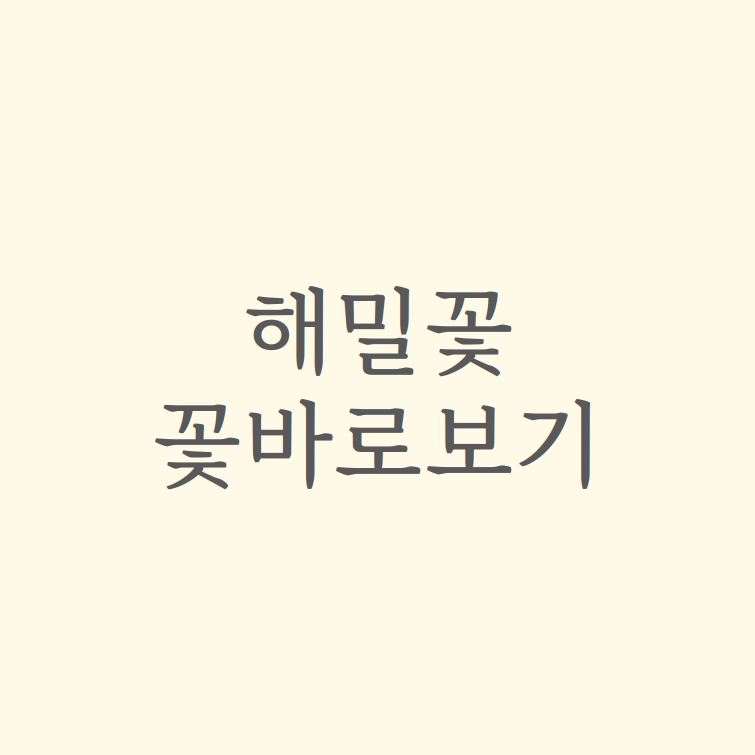 해밀꽃 이미지