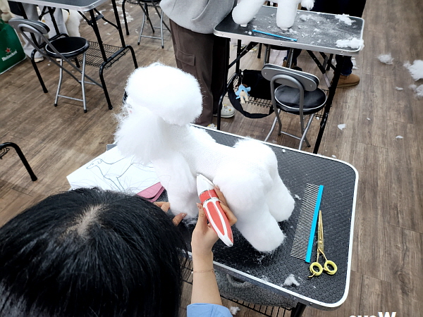 부산 강아지 미용 학원: 단기간 자격증 취득 과정 — 사진 2