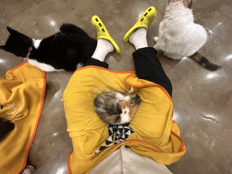 쥬핑 이미지
