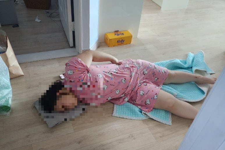 뚱시 이미지