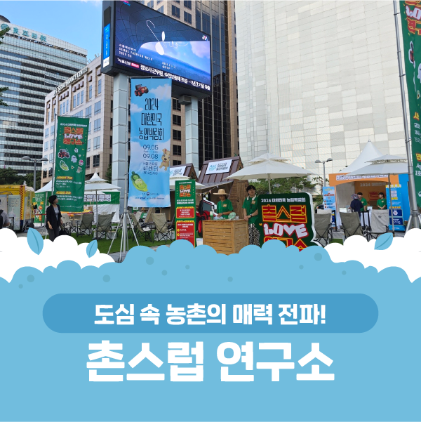 촌스럽 이미지