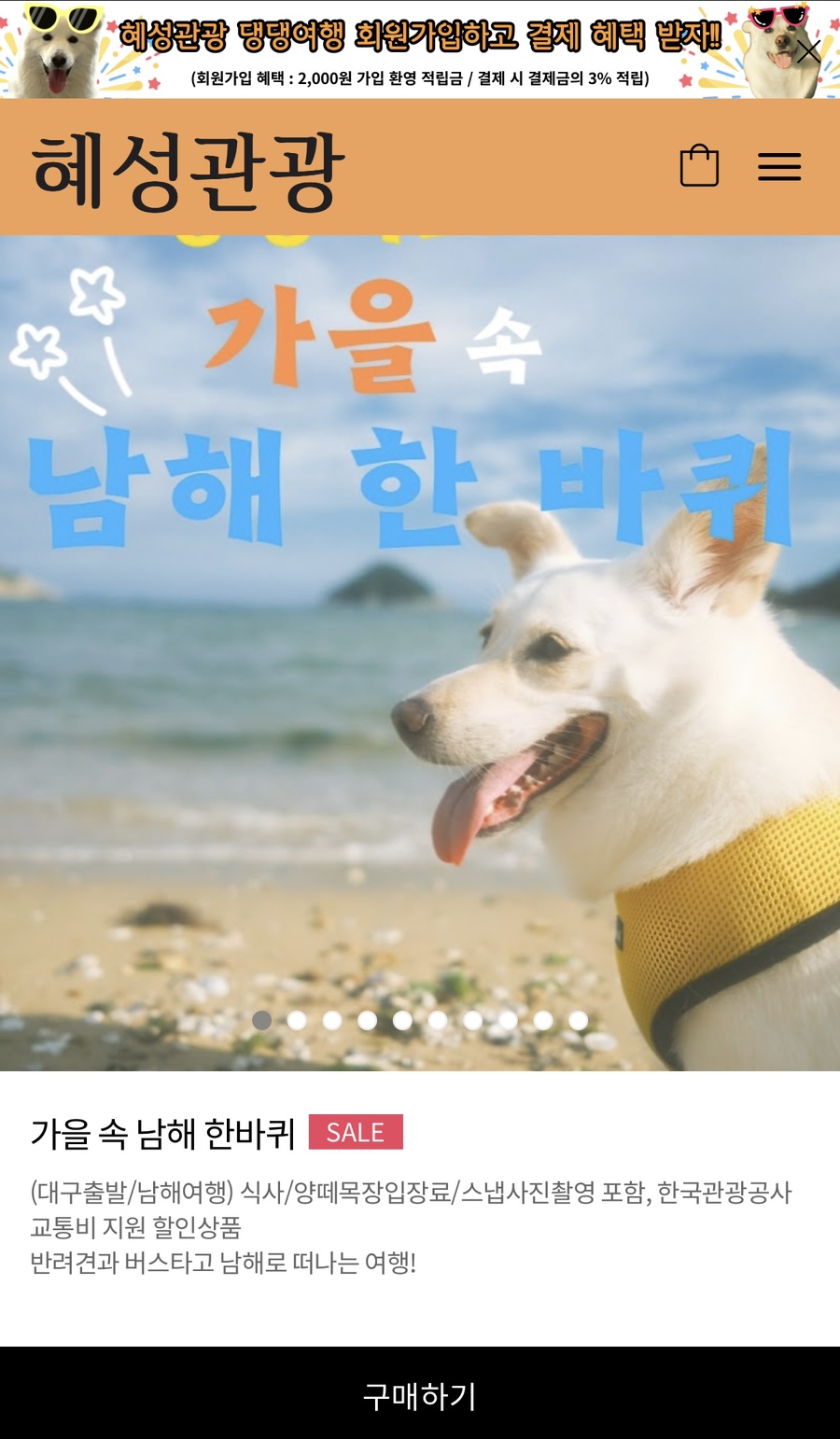 혜성관광 이미지