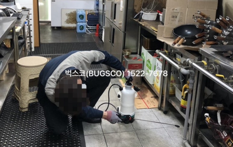 벅스코 이미지