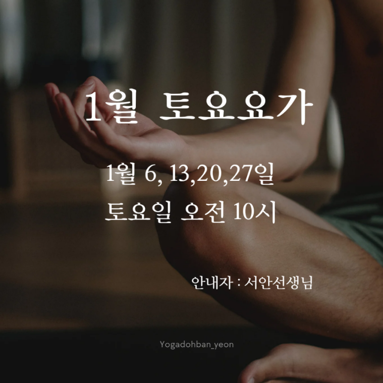토요요 이미지