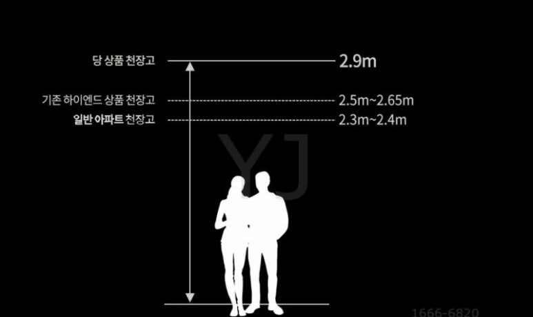 와이제이 홀딩스 이미지