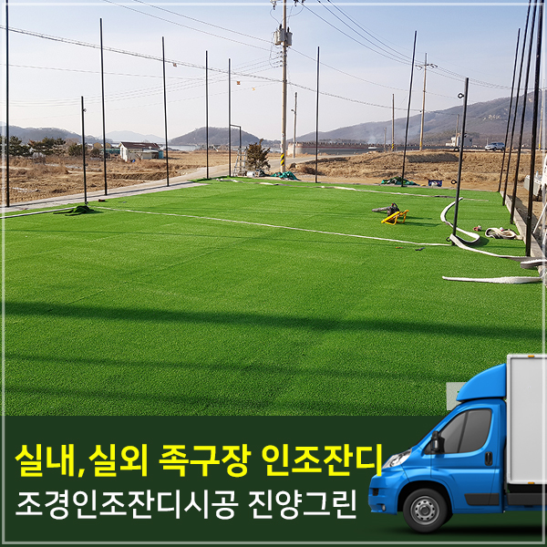 진양스포츠 이미지