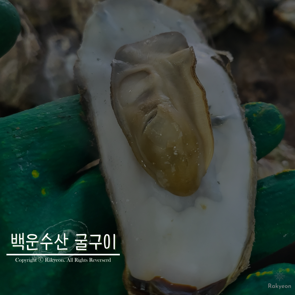 백운수산 이미지