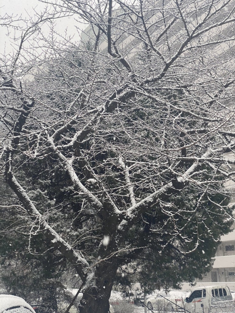 (주)에르메스투어 이미지