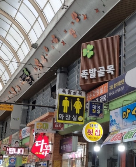 사계절청과 이미지