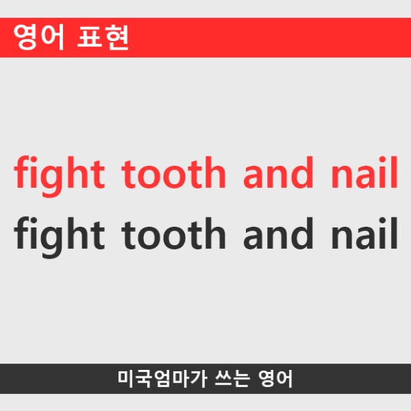 SOL NAIL 이미지