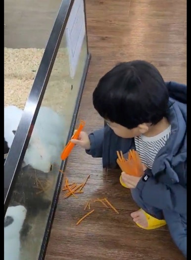 매직월드키즈플렉스 이미지