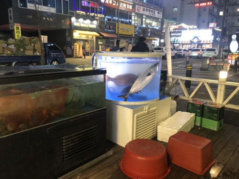 옥정153회전초밥 이미지