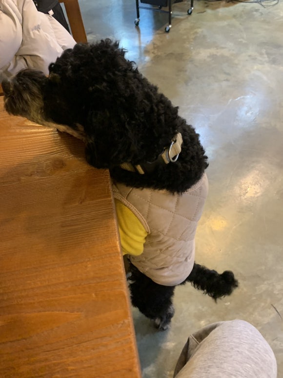 J 본헤어 이미지