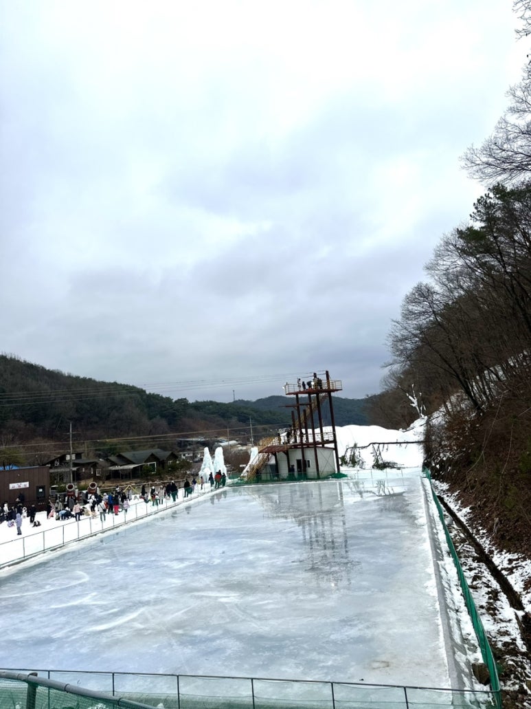 알프스1호카페 이미지