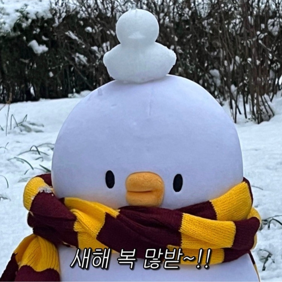 장고목 이미지