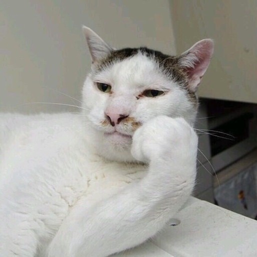파란봄 이미지
