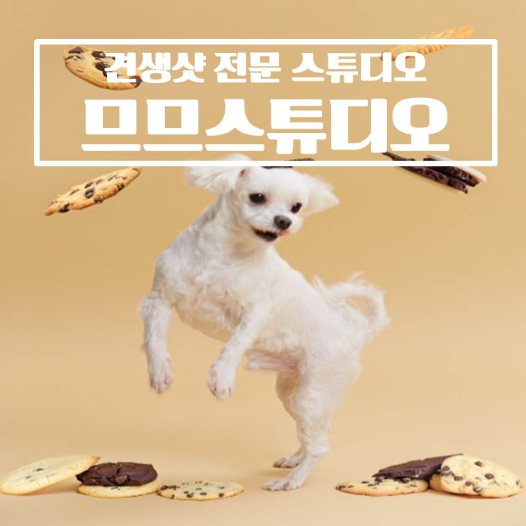 므므스튜디오 이미지