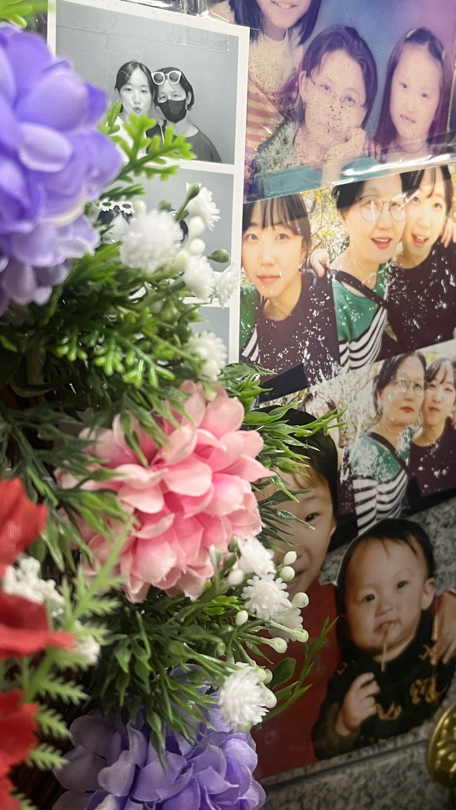 차령한우 이미지