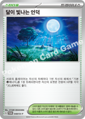 서프리그 이미지