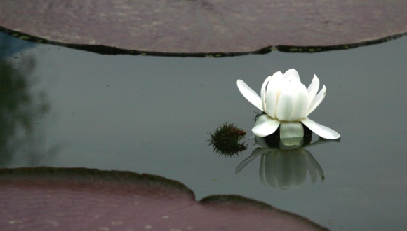 세존산업 이미지