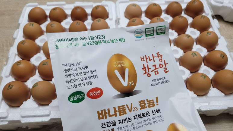 황금알계란 이미지