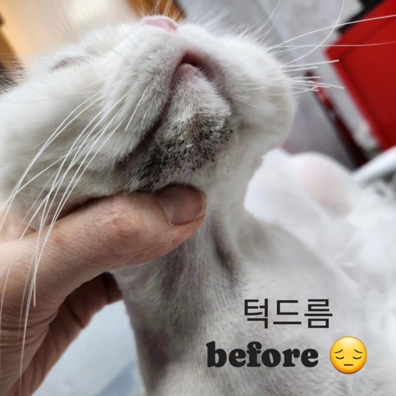 박피부미용실 이미지