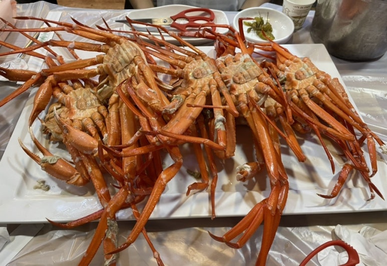 오이소 홍게 무한리필 이미지