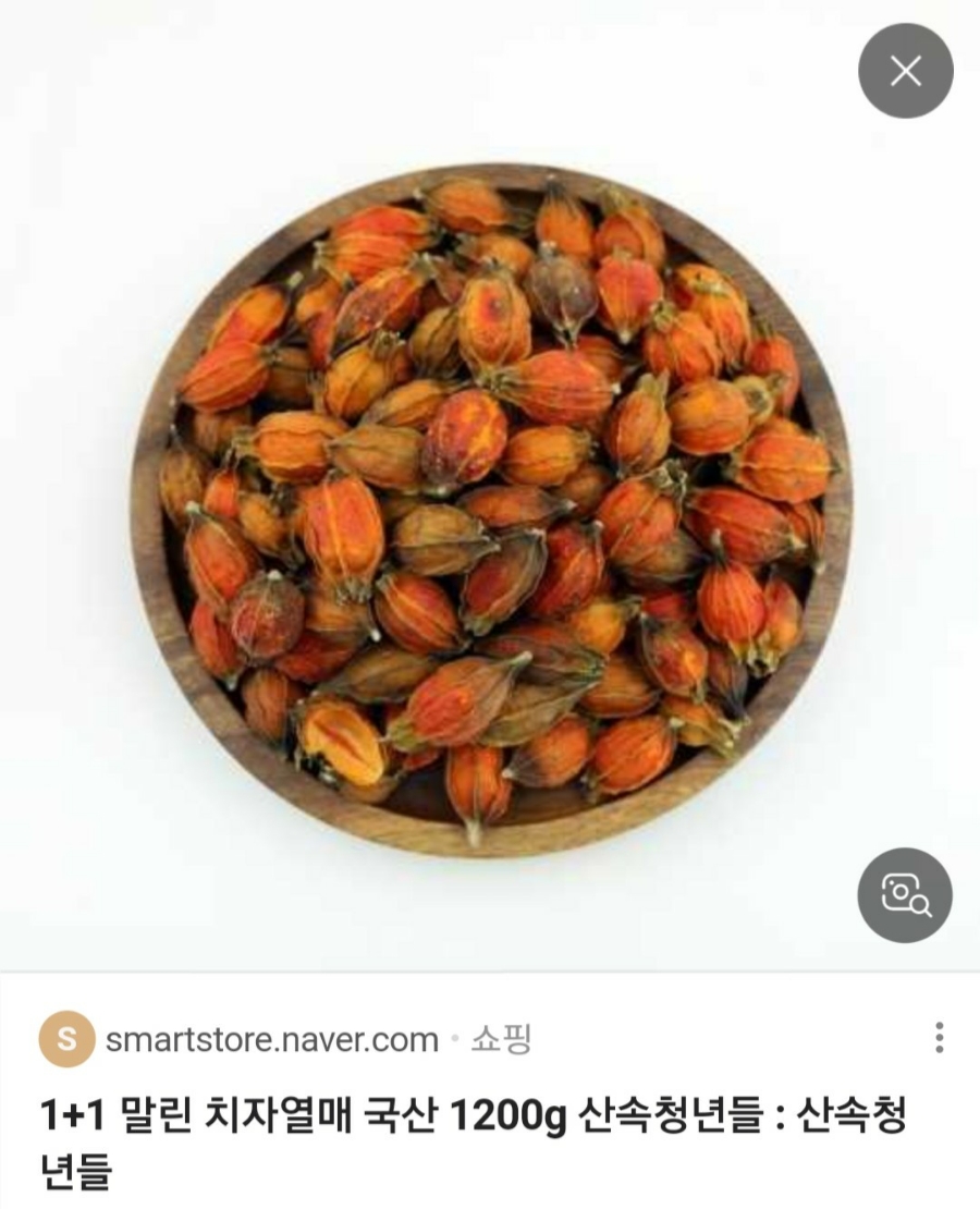 산속청년들 이미지
