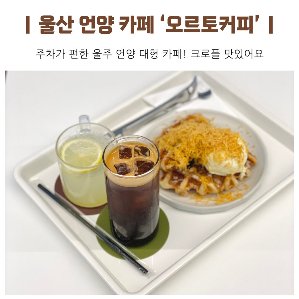 오르토커피 이미지