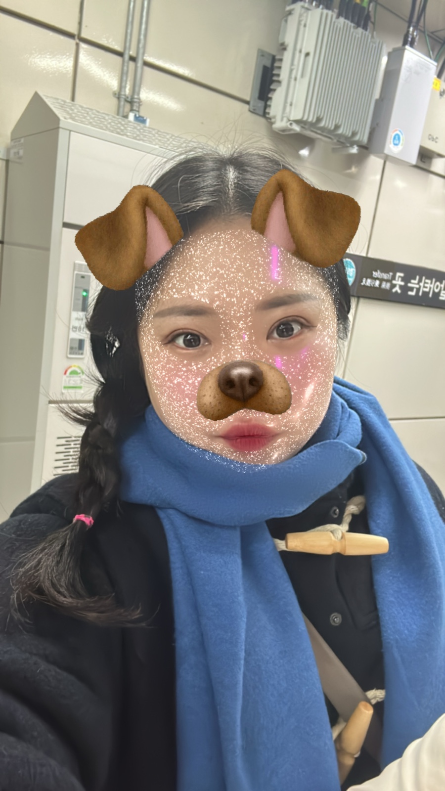 채리스토어 이미지