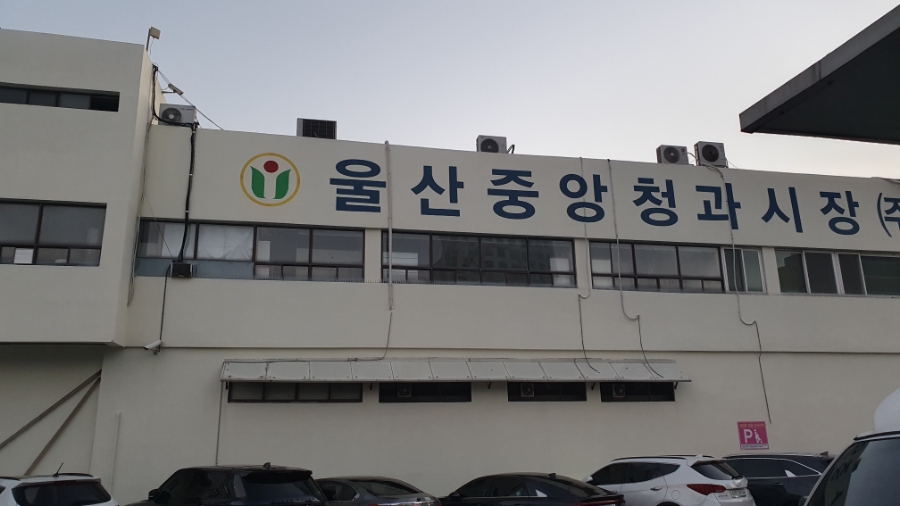 대중청과 이미지