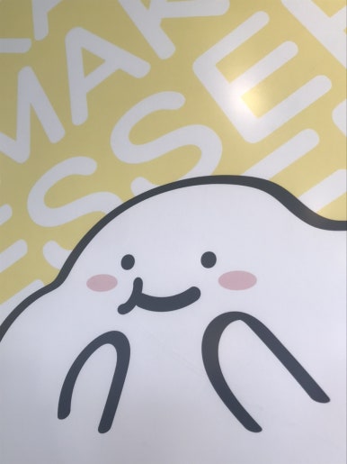 미크플로 이미지