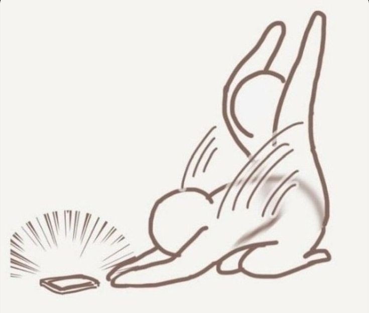 드림존 이미지