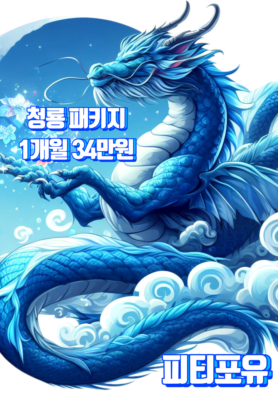 피티포유 이미지