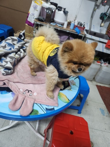 보리네포장마차 이미지