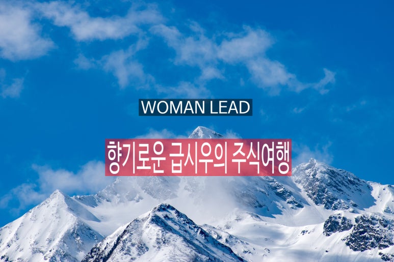 대성에스씨 이미지