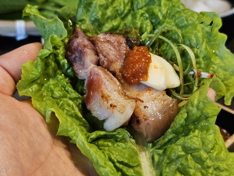 돼지짱 이미지