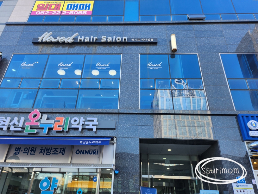 헤세드헤어 이미지