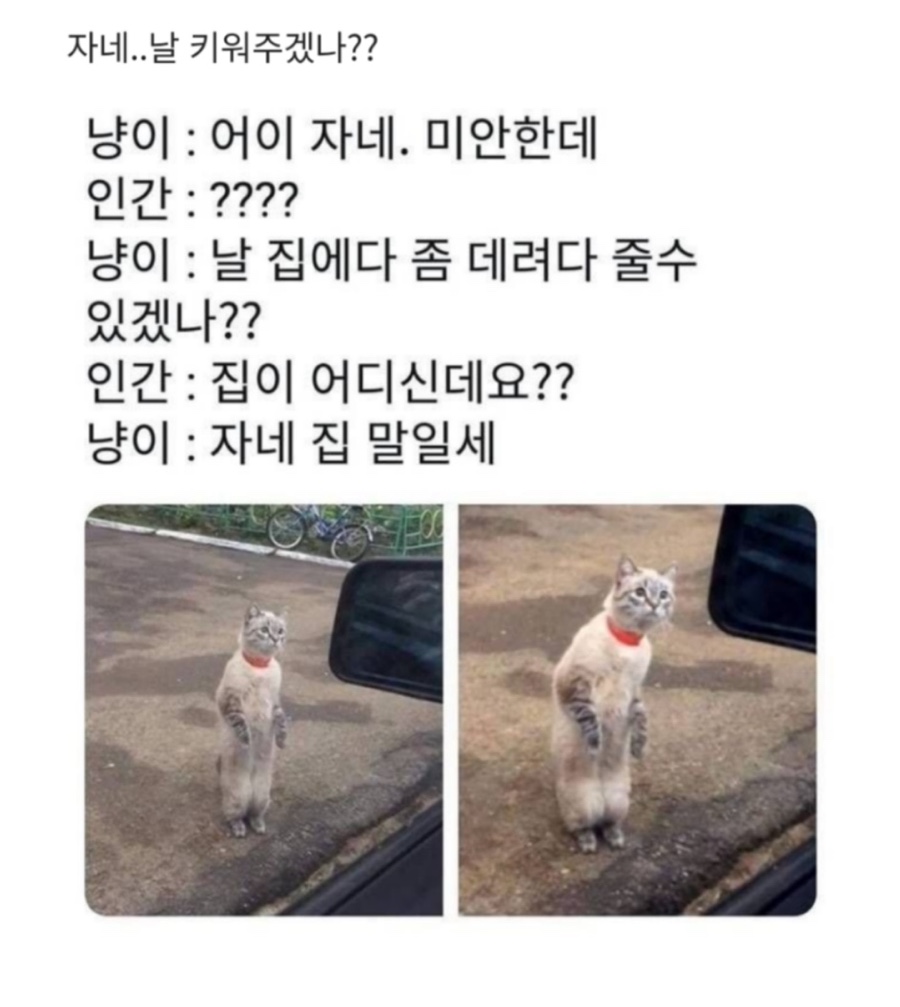누볼라풀빌라 이미지