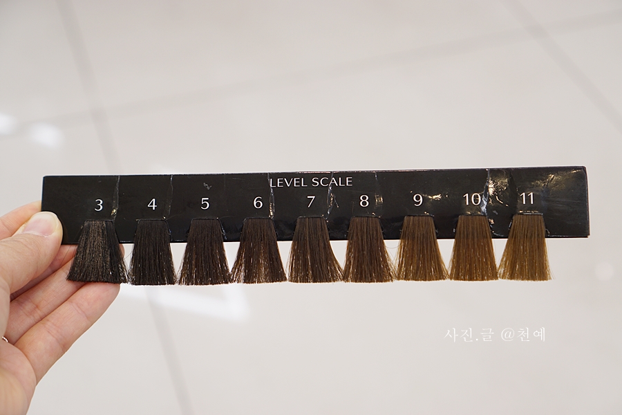 살롱드오케이 이미지