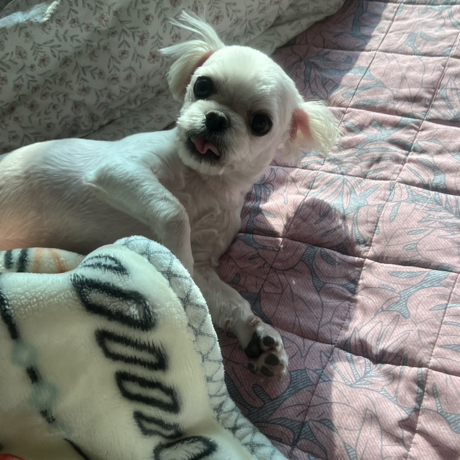 오꾸닭 삼산2호점 이미지