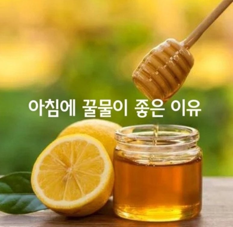 꿀물 이미지