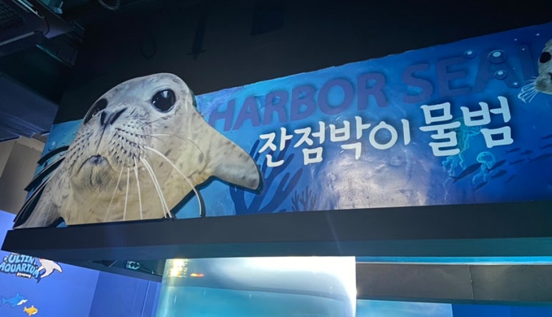 아울정 이미지