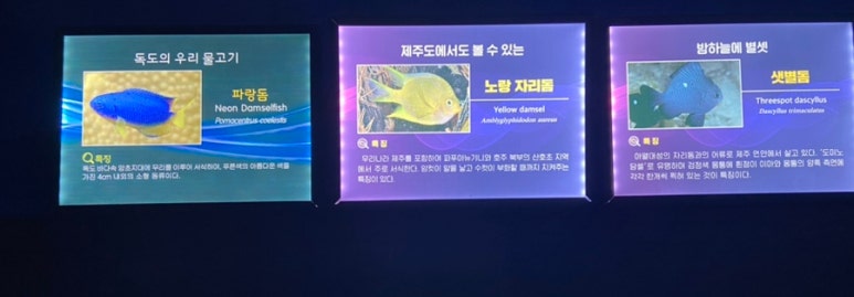 아울정 이미지