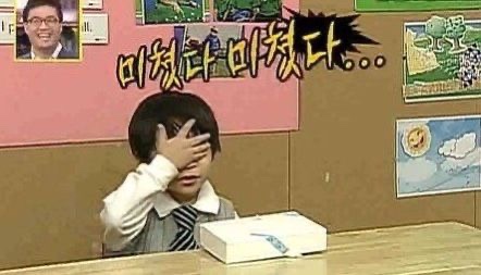 푸치케 이미지