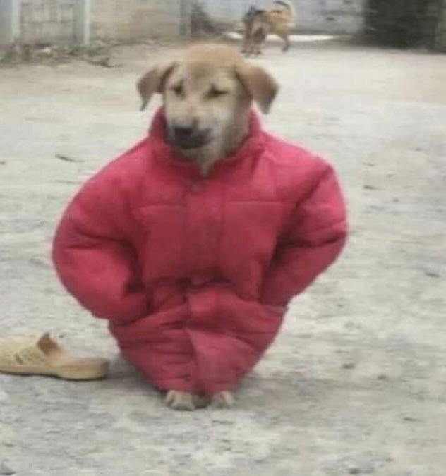 암사골목냉면 이미지