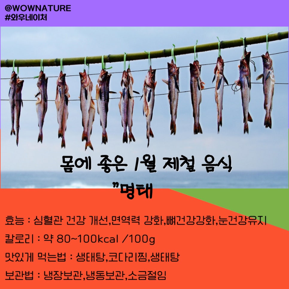 예랑식품 이미지