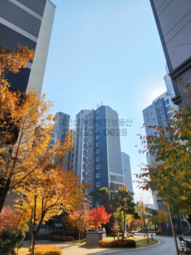 장신조경 이미지